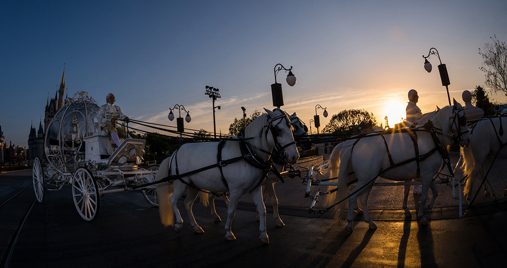 Disney S Fairytale Weddings At Magic Kingdom Dvcinfo Community