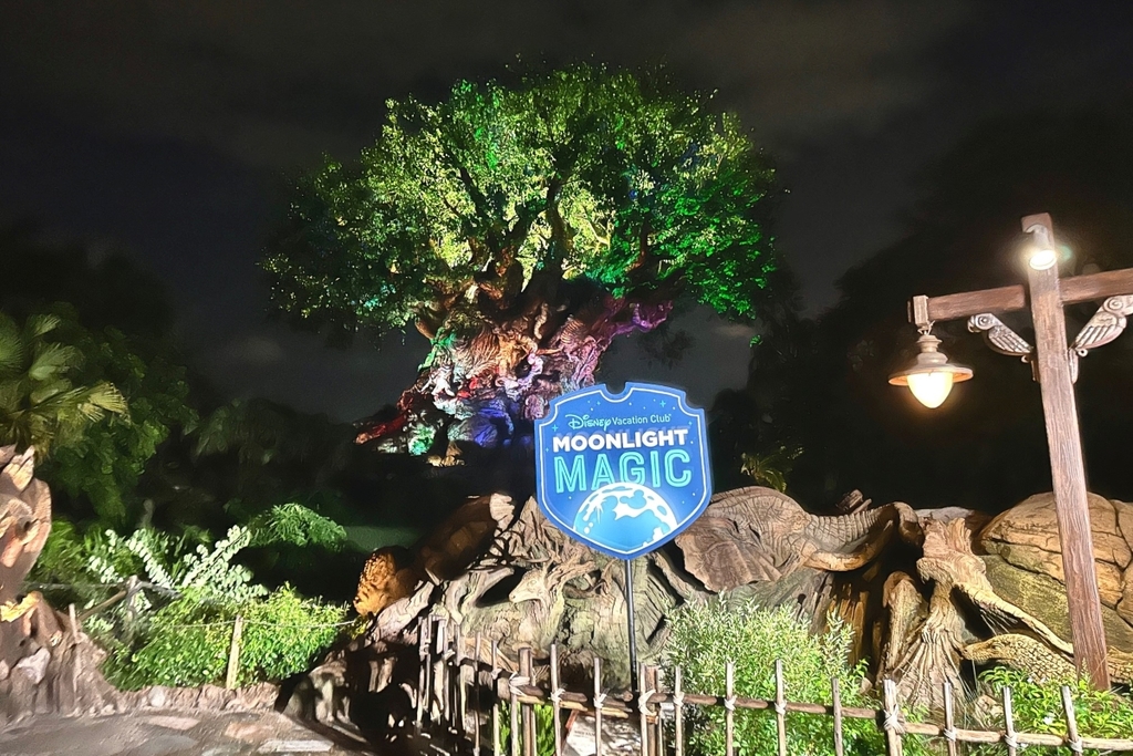 Recapping Moonlight Magic at Disney's Animal Kingdom DVCinfo Community