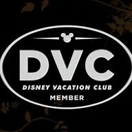 DVC Traveling Crockpot