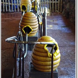 Honey Pots | DVCinfo Community