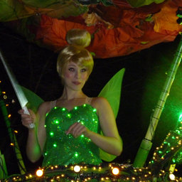 Tinkerbell | DVCinfo Community