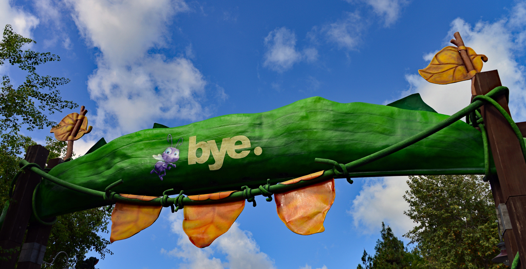 Bye from Bugs Land | DVCinfo Community