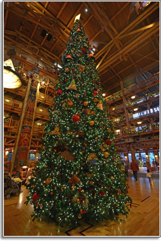 Christmas Tree in WL Lobby | DVCinfo Community