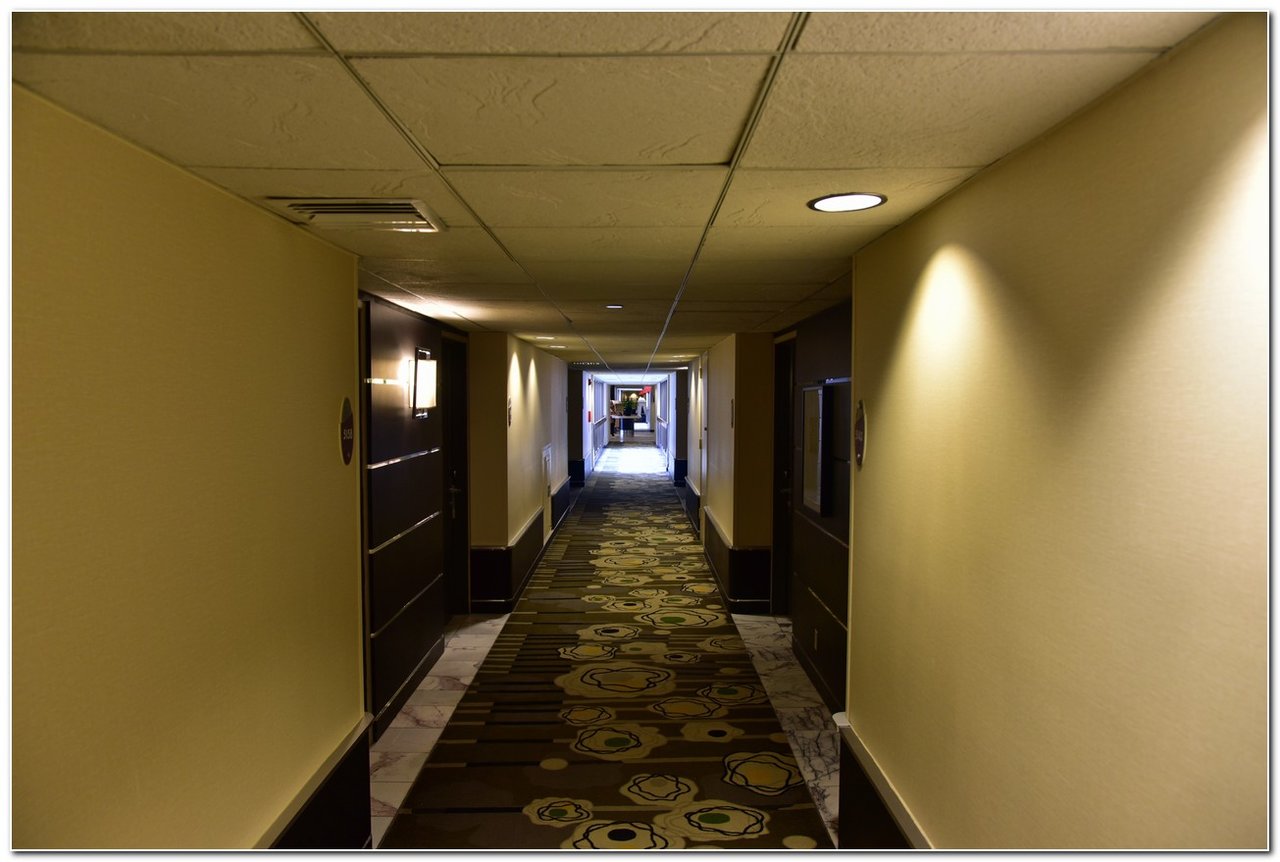 Contemporary Garden Wing Hallway DVCinfo Community