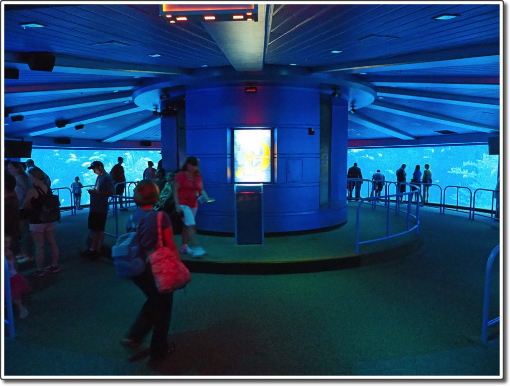 Epcot Aquarium | DVCinfo Community