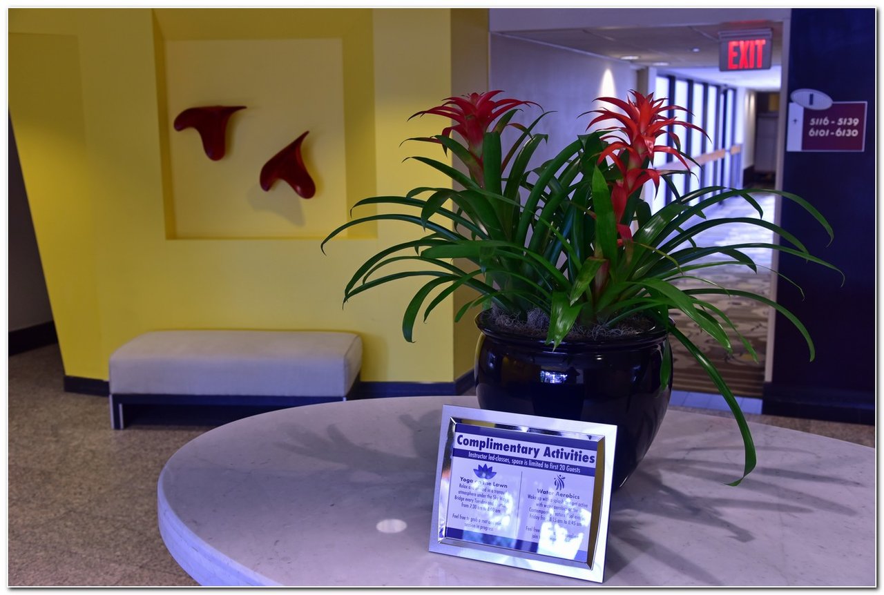 to the Contemporary Garden Wing DVCinfo Community